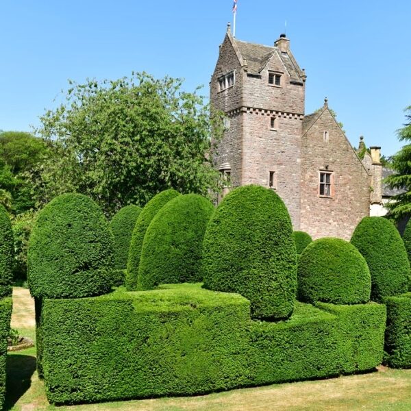 Freshly trimmed hedges in the grounds of a large home